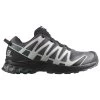 Botas De Trail Salomon Xa Pro 3D V8 Magnet Lunar Rock Scarab