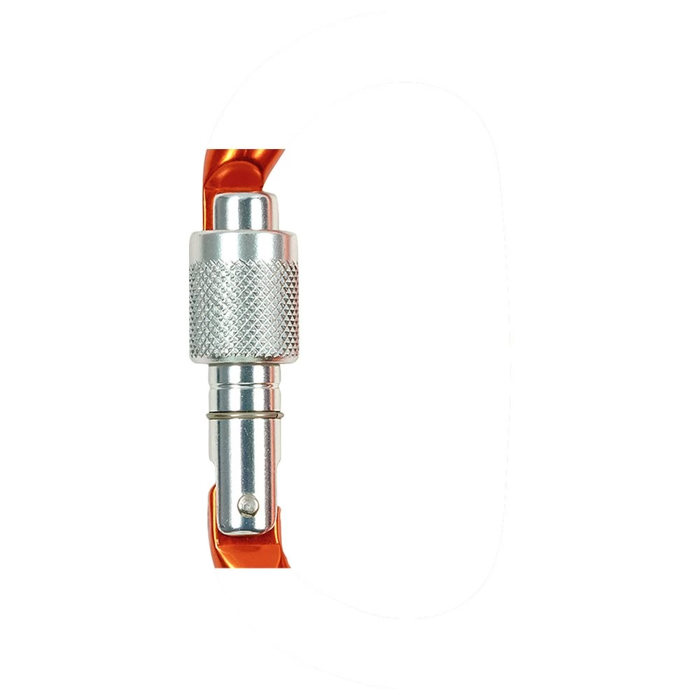 Camp Pack Wing 2 6 Camp Pack Wing 2 - Imagen 4