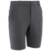 Pantalón Corto De Trekking Lafuma Active Stretch Short M Asphalte -Tienda De Montanismo 8cb5d3206957d8ceb2d8fa01019b09c6cc7fceaa E22LAFUTTB2202750 0