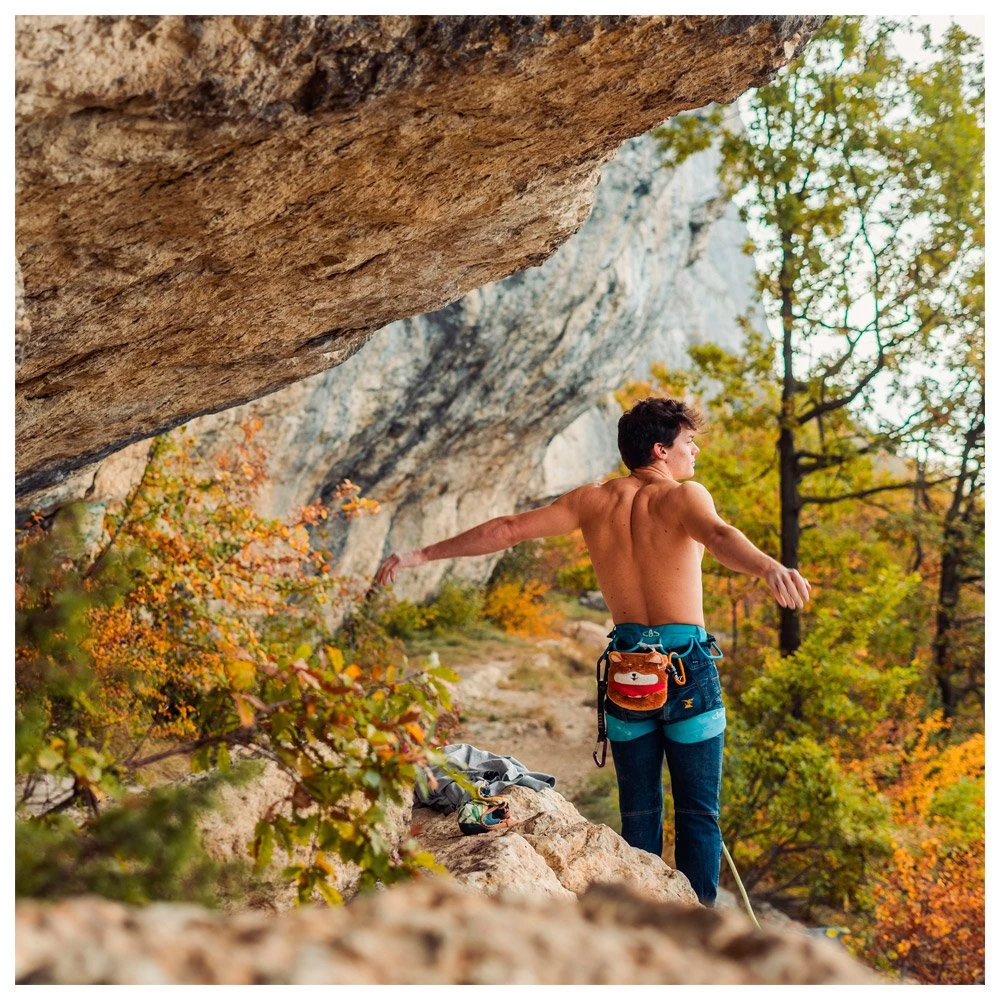 Bolsa Para El Magnesio YY Vertical Animaux Shiba Inu 7 Bolsa Para El Magnesio YY Vertical Animaux Shiba Inu - Imagen 5